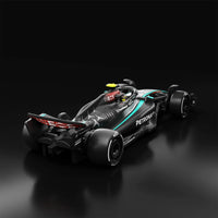 Hot Wheels Premium Formula 1 Mercedes - AMG Petronas #44